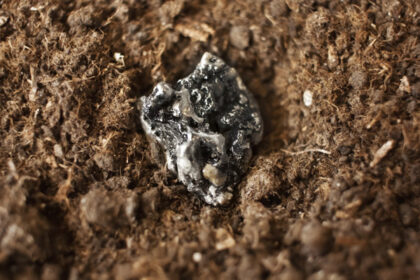 trozo de mineral sobre tierra
